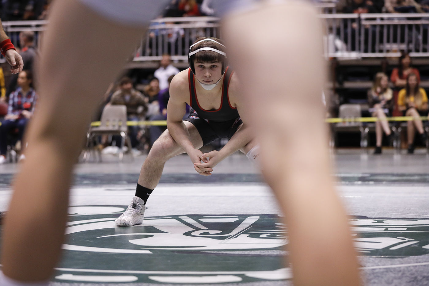 State Wrestling Finals